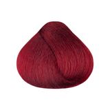 Bio-Extratus-Coloracao-6.66