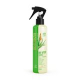 Day-After-Cachos-300mL