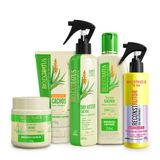 Kit-Reconstrutor---Cachos-250mL_g--FN-Atualizado-